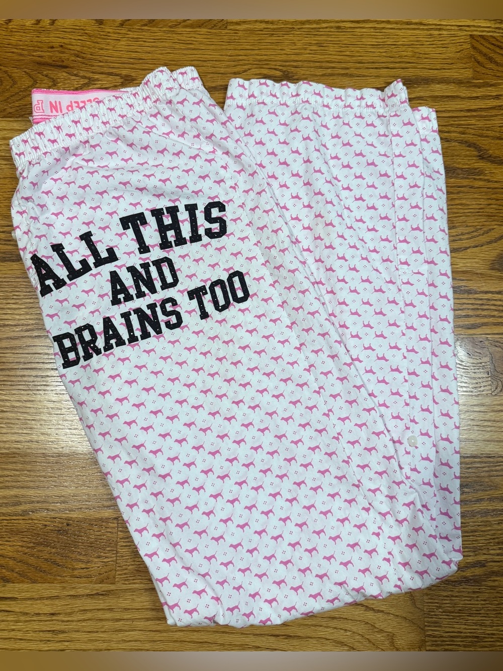 Y2K Victoria Secret PINK Pajama Pants Small All This And Brains Too Dog Pattern